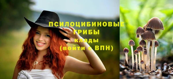 прущие грибы Балабаново
