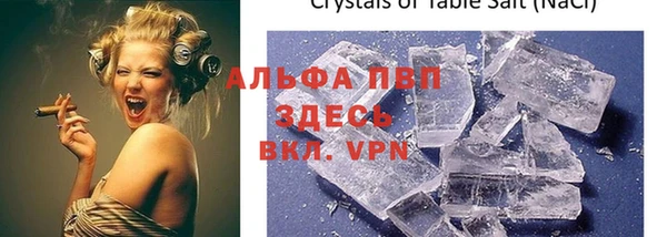 прущие грибы Балабаново