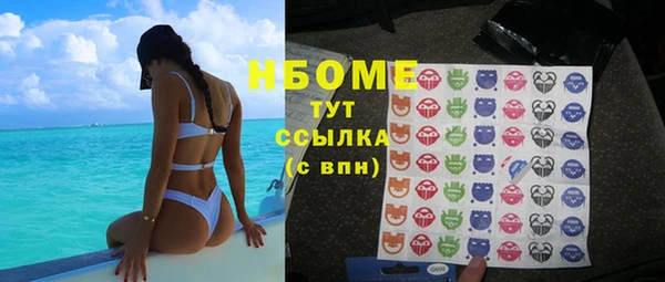 прущие грибы Балабаново