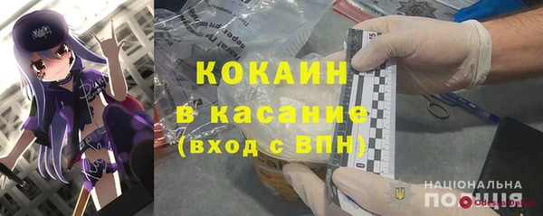 прущие грибы Балабаново