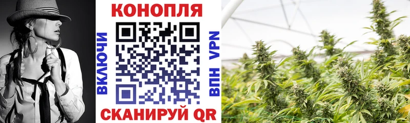 где можно купить   Кушва  Шишки марихуана SATIVA & INDICA 